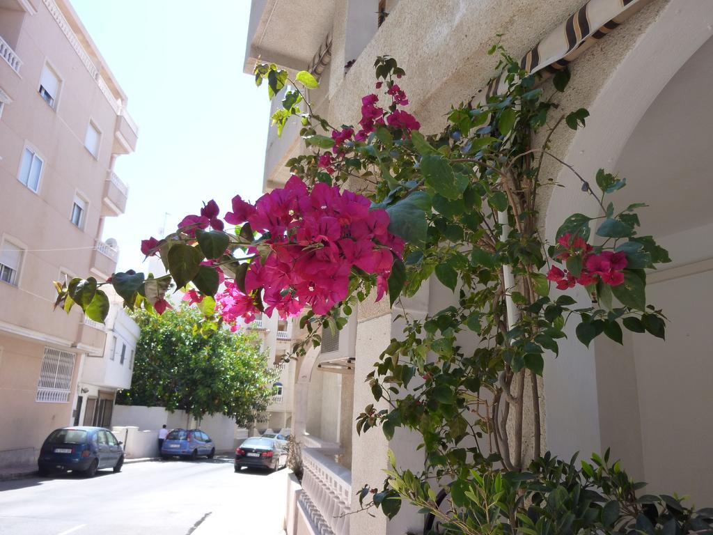 The Cozy Apartment Torrevieja Exterior photo